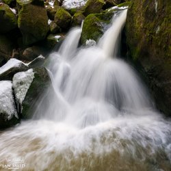 p17q6k4b4t87617o9aai1trs15f34.jpg