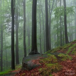 p183o0iitg1dh3opbm6l150r2sj4.jpg