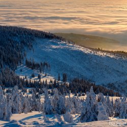 p185636ski6qf1impd2v15fuqk44.jpg