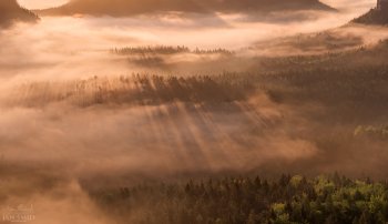 p19sgmnqiqivo1srh8m16lbod4.jpg
