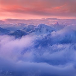 p1c62r7s5mhnr1dbrnt48i51qnd4.jpg