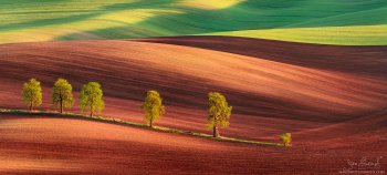 p1be36bi1q8gia9m1bg9k0931l4.jpg