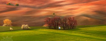 p1bgqbudhf5fl16bu1c9h637ahv4.jpg