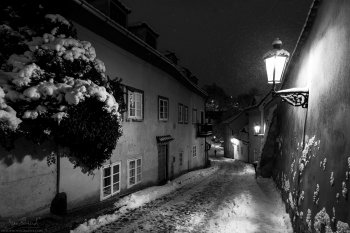 p1d34too1l11r5trj1shn1mp9t894.jpg