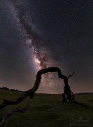 p1g6ik8a4l1bb41pdr16a0r6ib54.jpg