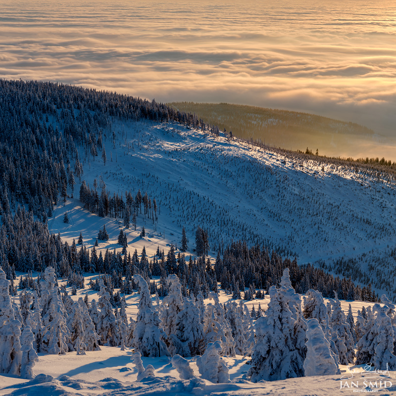 p185636ski6qf1impd2v15fuqk44.jpg