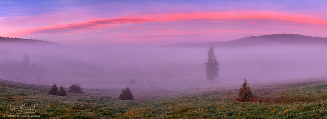 cze 0264 New Dawn p1b6rek2vq1necositclcdt1d944.jpg