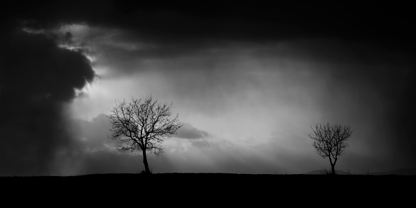 photo_three