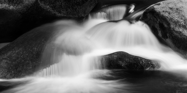 photo_four