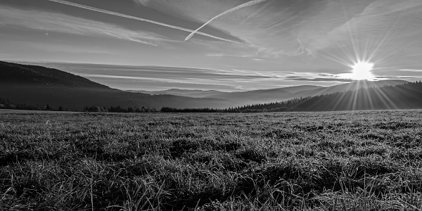 photo_six
